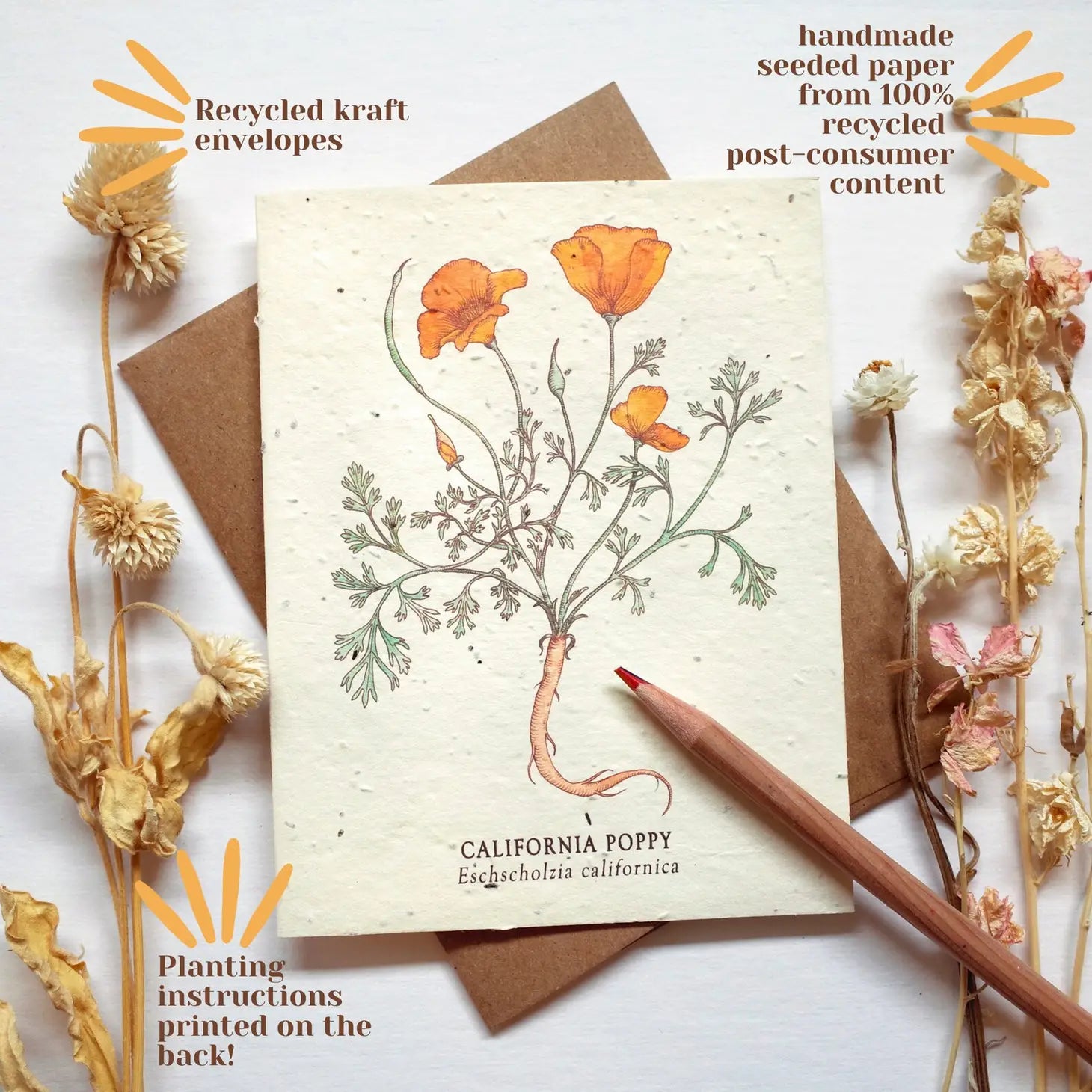 The Bower Studio - Herb Seed Cards