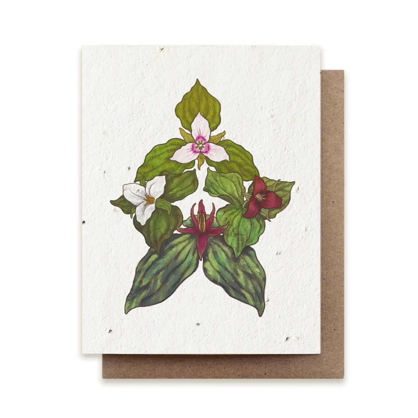 The Bower Studio - Herb Seed Cards
