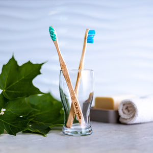 Ola Bamboo - Adult Maple Wood Toothbrush
