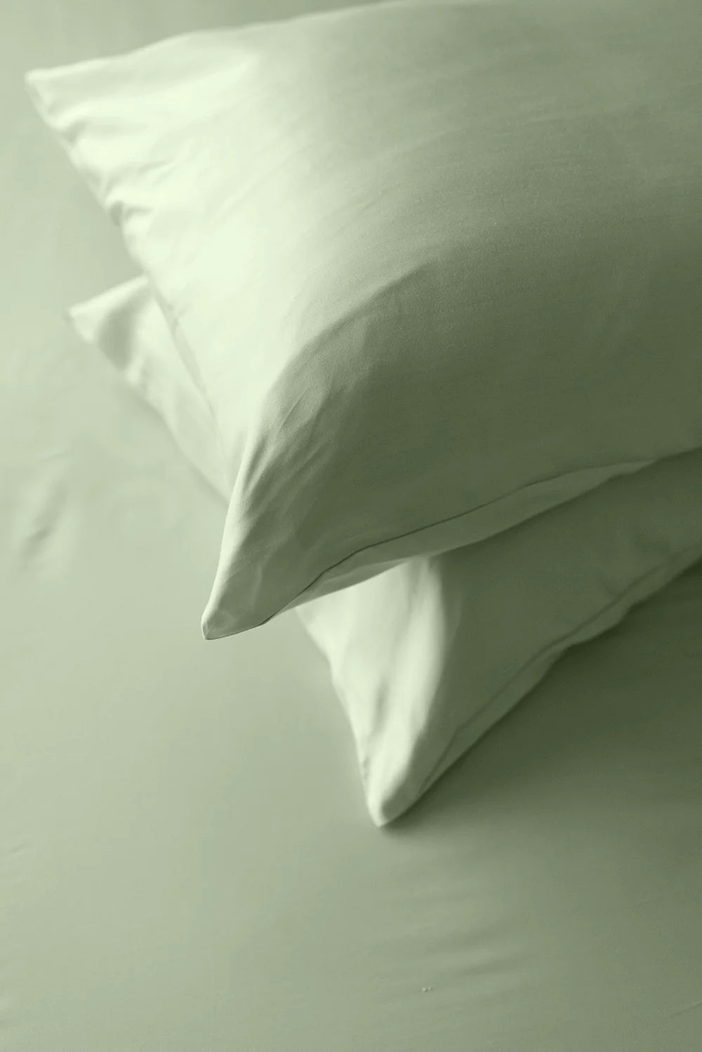 Terrera - 100% Bamboo Pillow Cases