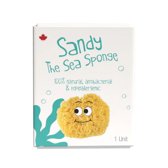 LOOT Toys - Sandy Sea Sponge