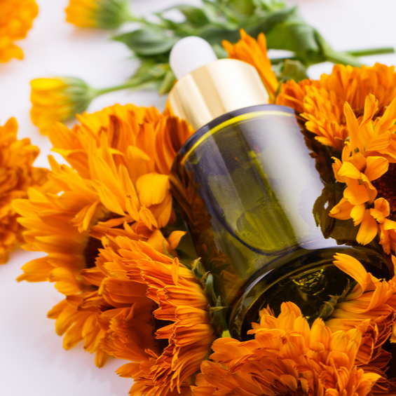 All Things Being Eco - Bulk Arnica Macerated Carrier Oil