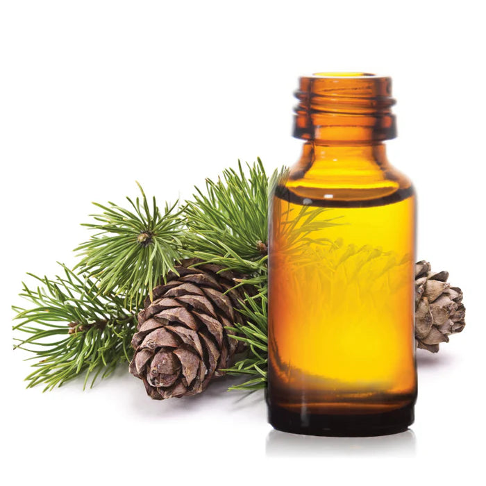 All Things Being Eco - Organic Balsam Fir Bulk Essential Oil