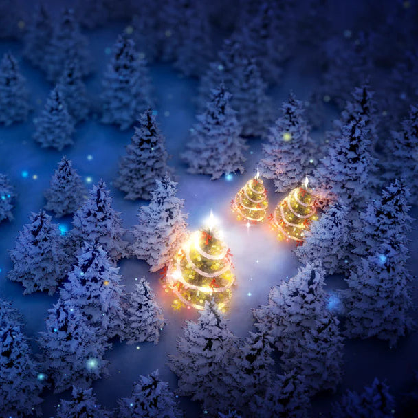 All Things Being Eco - Christmas Forest Essential Oil Blend