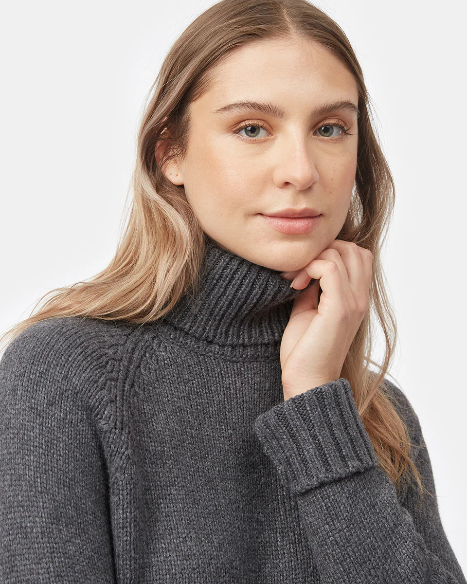 tentree - Highline Wool Turtleneck Sweater