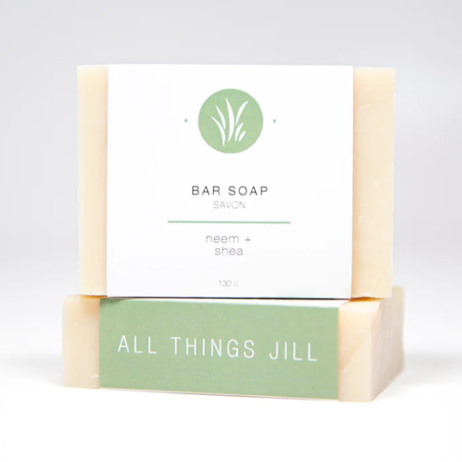 All Things Jill - Package Free Neem Soap