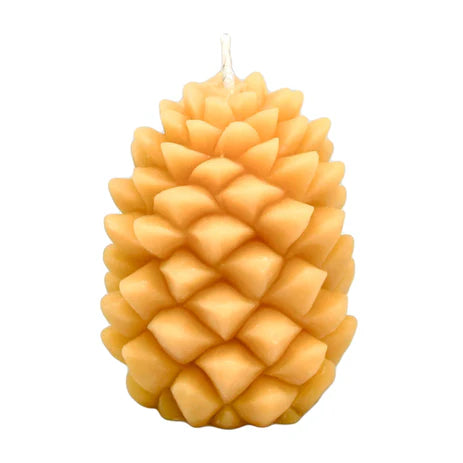 Honey Candles - Ponderosa Pine Cone Candle