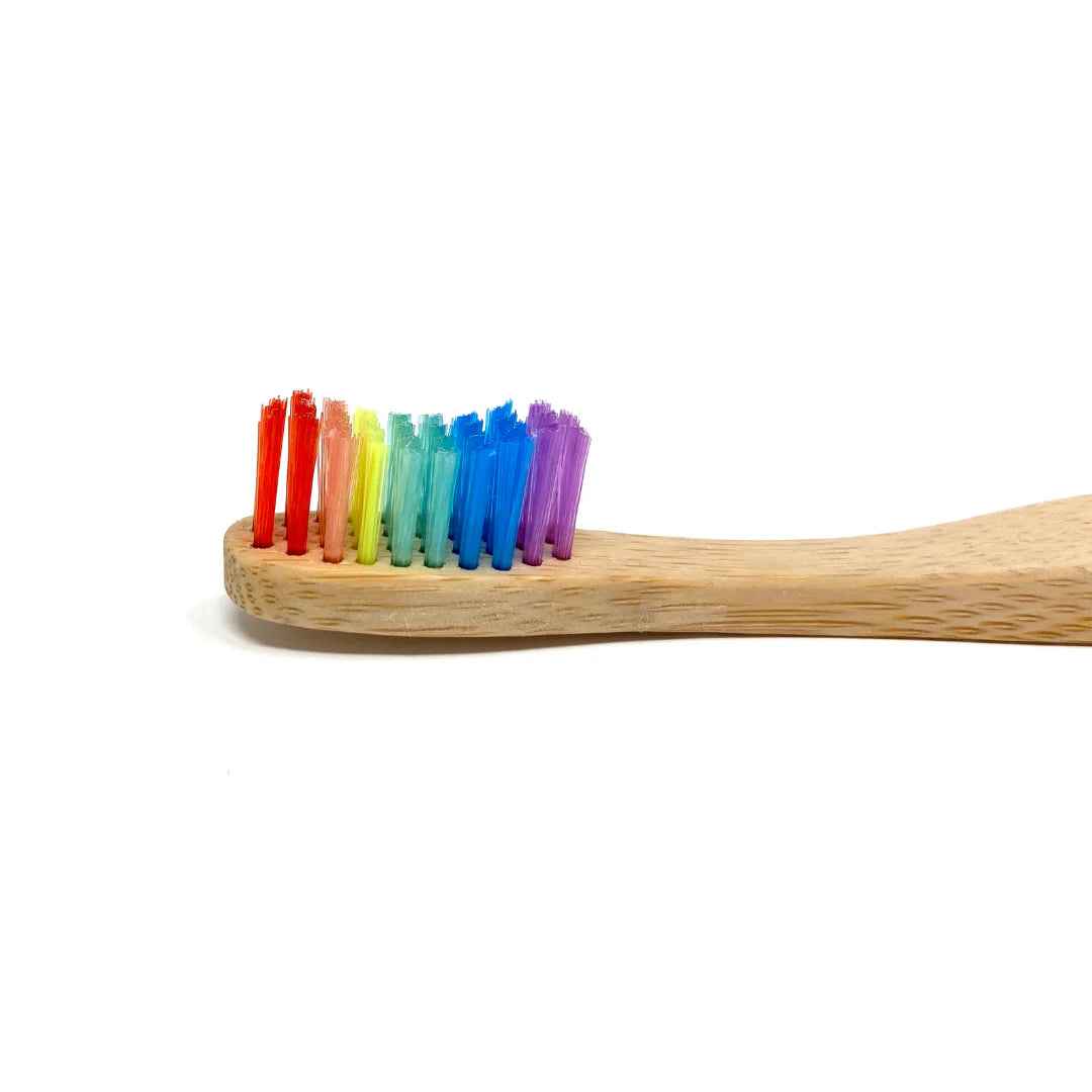 The Future is Bamboo - Rainbow Adult Bamboo Toothbrush