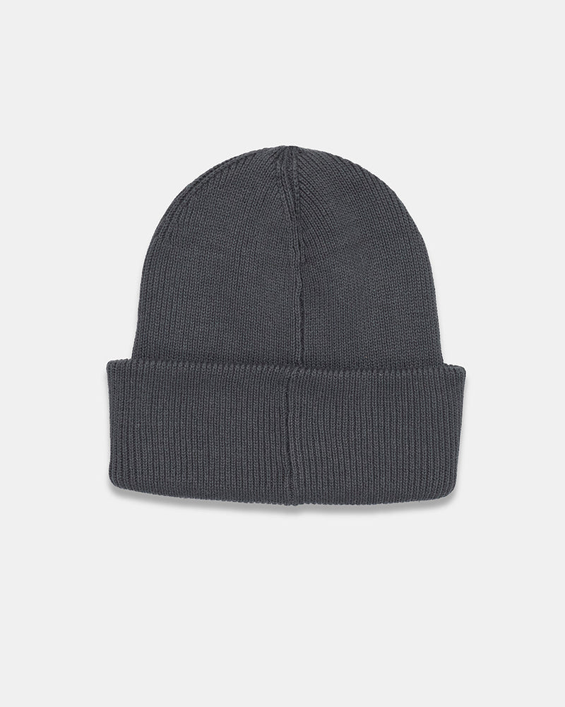 tentree - Alden Beanie