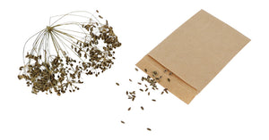 Redecker - Seed Storage Bags 10 Pack