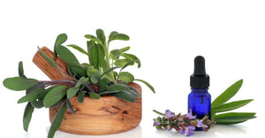 All Things Being Eco - Bulk Organic Sage Essential Oil Zero Waste Living All Things Being Eco