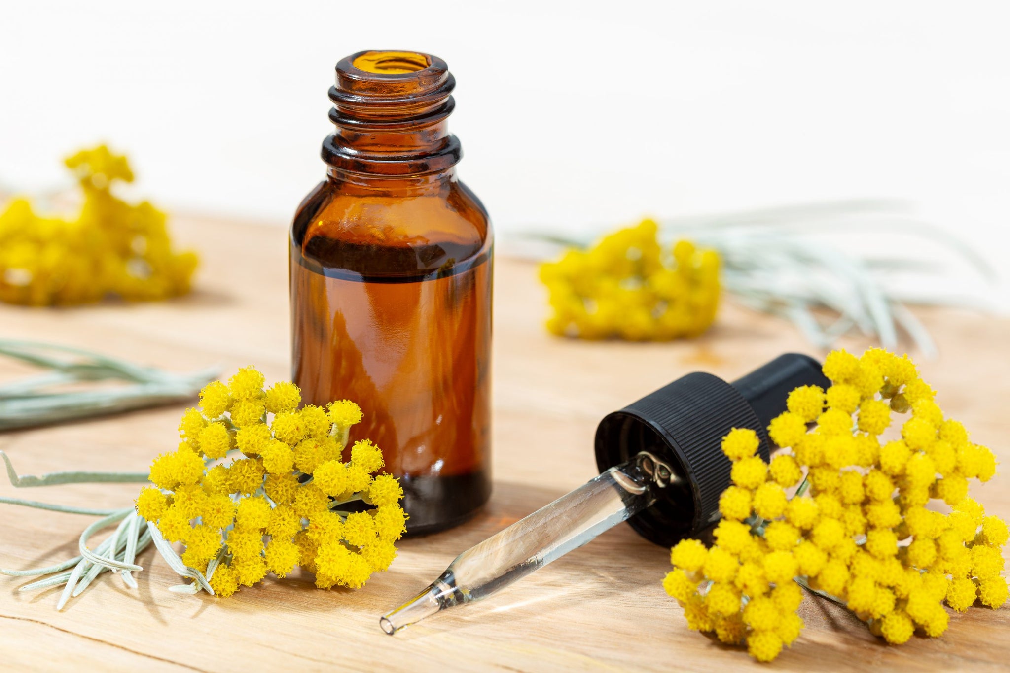 All Things Being Eco - Helichrysum Bulk Essential Oil