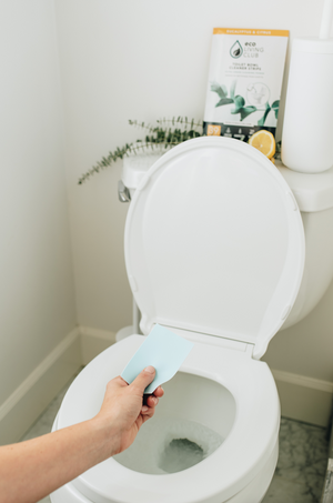 Eco Living Club - Toilet Bowl Cleaning Strips - All Things Being Eco - Zero Waste Household Cleaning - No Plastic Bottle Cleaner