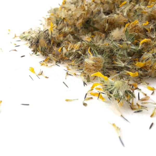 All Things Being Eco Natural Dried Arnica Flowers Bulk Zero Waste Chilliwack