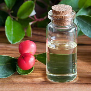 All Things Being Eco - Organic Wintergreen Bulk Essential Oil
