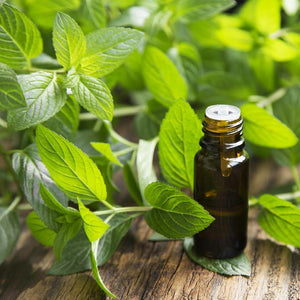 All Things Being Eco - Organic Spearmint Bulk Essential Oil