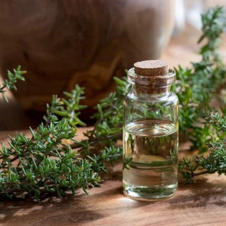 All Things Being Eco - Bulk Organic Thyme Essential Oil Zero Waste Refillery