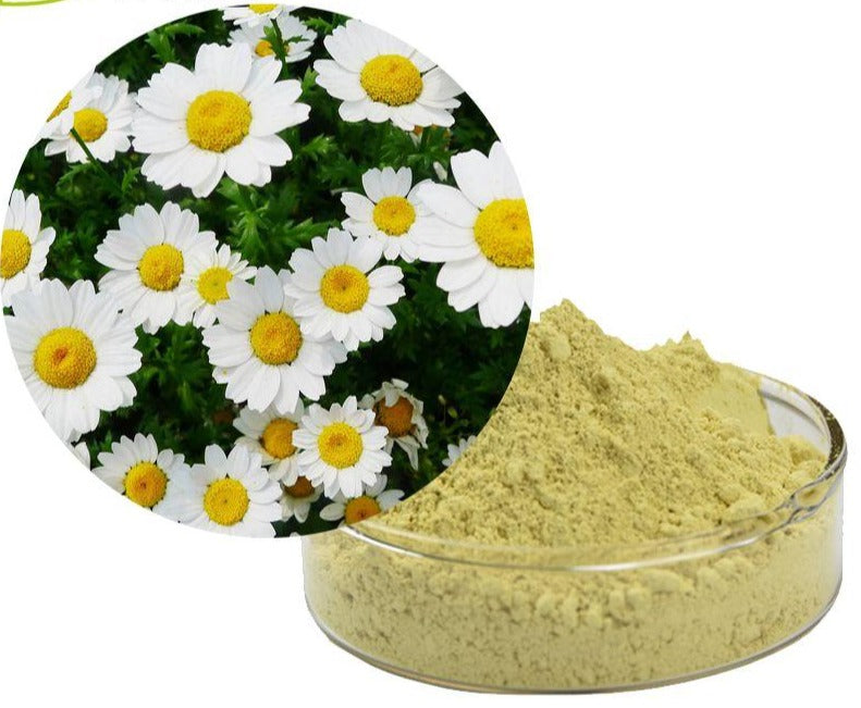 All Things Being Eco - Bulk Chamomile Botanical Extract