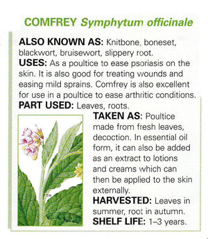 All Things Being Eco - Bulk Organic Comfrey Root