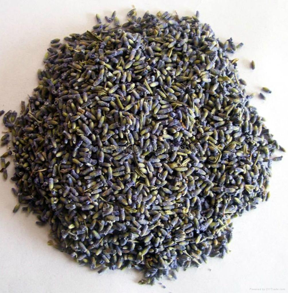 All Things Being Eco - Bulk Dried Lavender Flowers All Things Being Eco