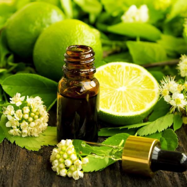 All Things Being Eco Zero Waste Organic Lime Essential Oil Bulk Ingredient