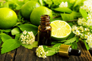 All Things Being Eco Organic Lime Essential Oil Zero Waste