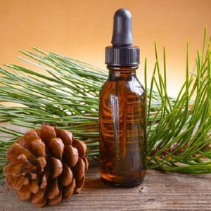 All Things Being Eco - Refillable Bulk Organic Pine Essential Oil All Things Being Eco