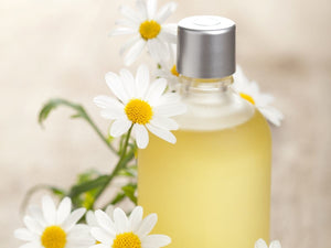 All Things Being Eco - Roman Chamomile Bulk Essential Oil