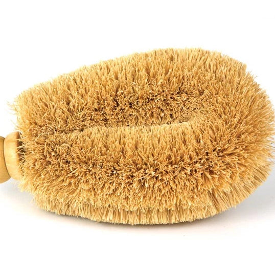 Down To Earth - Large Coir 6" Veggie Brush With Wood Knob