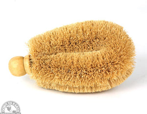 Down To Earth - Large Coir 6" Veggie Brush With Wood Knob All Things Being Eco Zero Waste Living Store