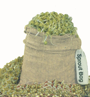 Envirothreads - Hemp Sprout Bag All Things Being Eco Chilliwack