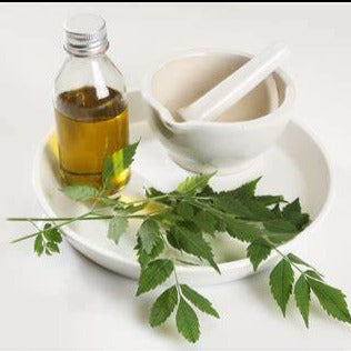 All Things Being Eco - Bulk Organic Neem Carrier Oil