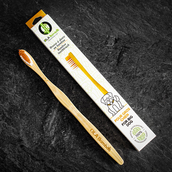 OLA Bamboo - Bamboo Toothbrushes For Pets