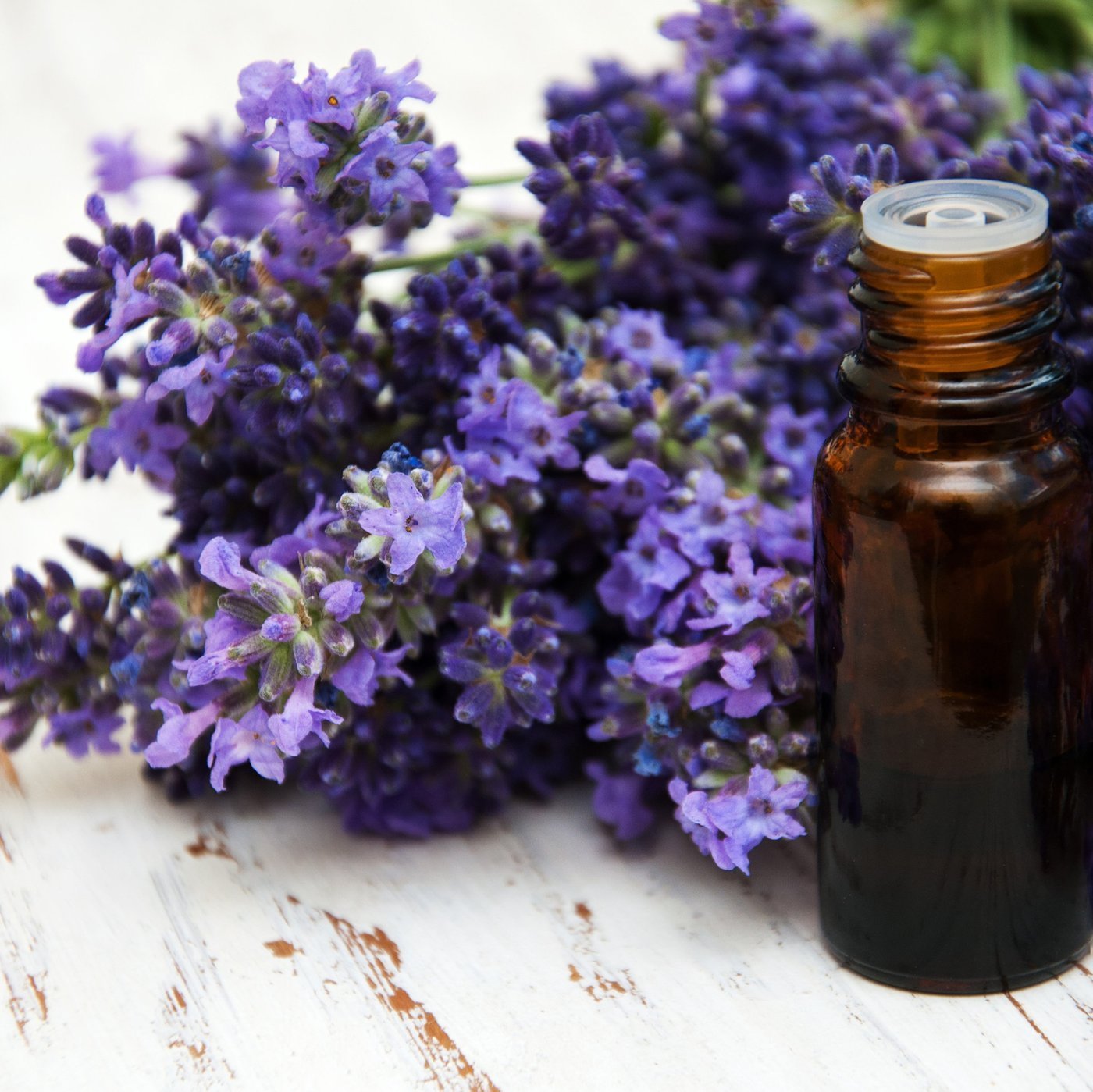 All Things Being Eco - Zero Waste Organic Lavender Bulk Essential Oil