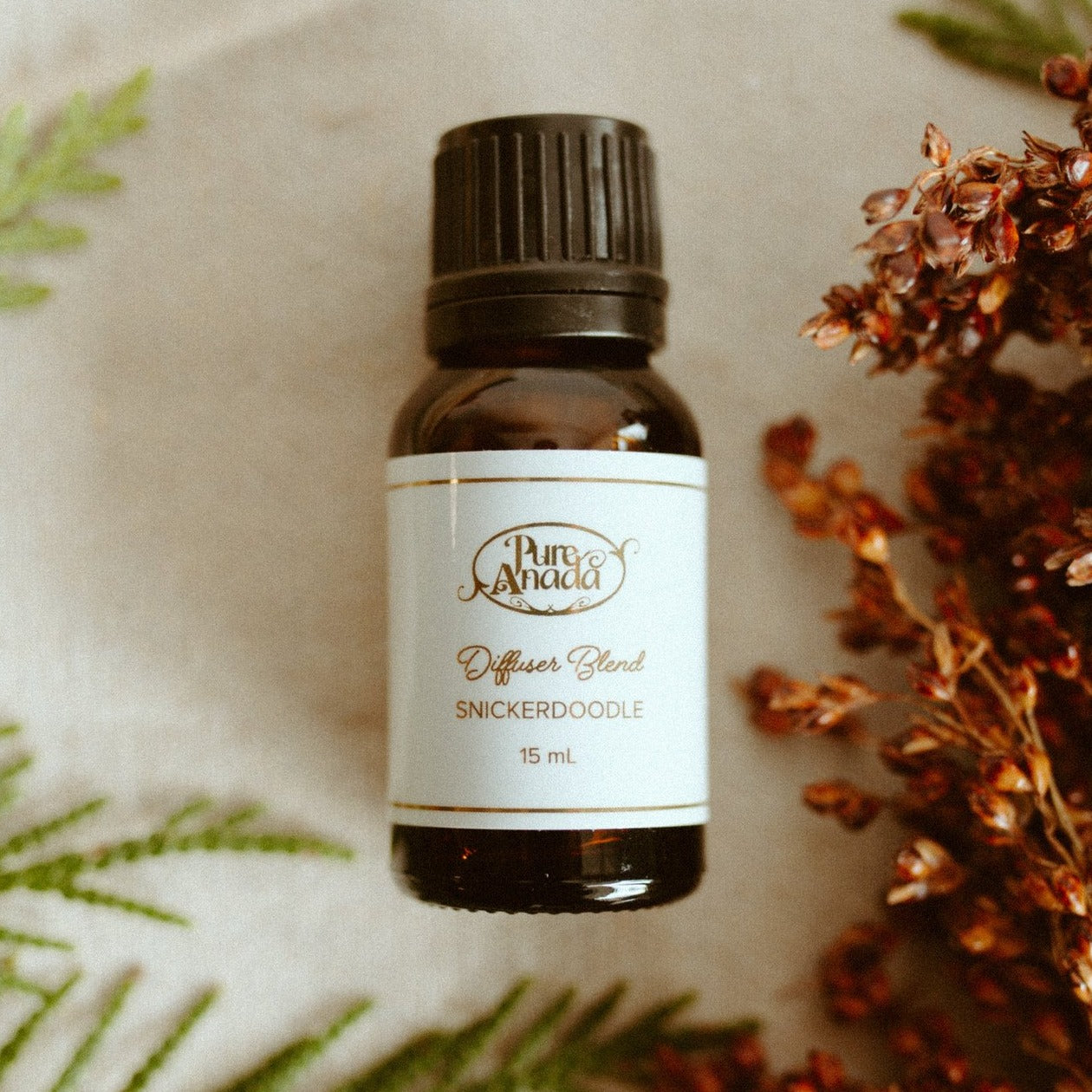 pure anada snickerdoodle holiday diffuser blend essential oils all things being eco chilliwack