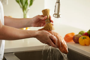Sayula - Root Brush Dish Scrubber