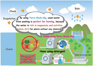 Terra Wash + Mg - Eco Laundry Sachet
