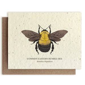The Bower Studio - Wildflower Seed Cards